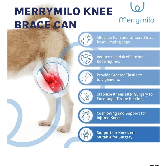 Merrymilo Knee Brace ACL CCL Support for Hind Leg Hip Brace Size L Gray - Picture 4 of 11